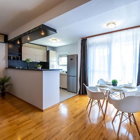 Business And Travel Lounge With Private Parking Daire Temeşvar Dış mekan fotoğraf